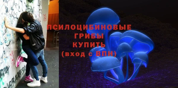 спайс Абинск