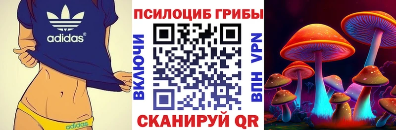 KRAKEN зеркало  Абдулино  Галлюциногенные грибы Magic Shrooms 